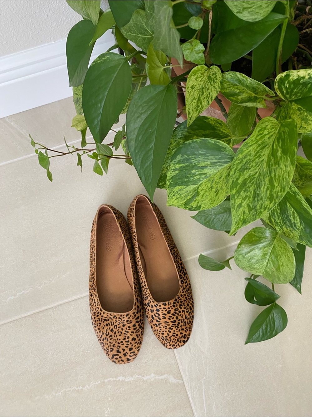 Madewell Leopard Print Ballet Flats